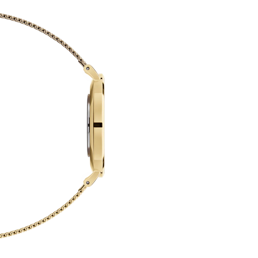 Daniel Wellington Petite Evergold Black Watch