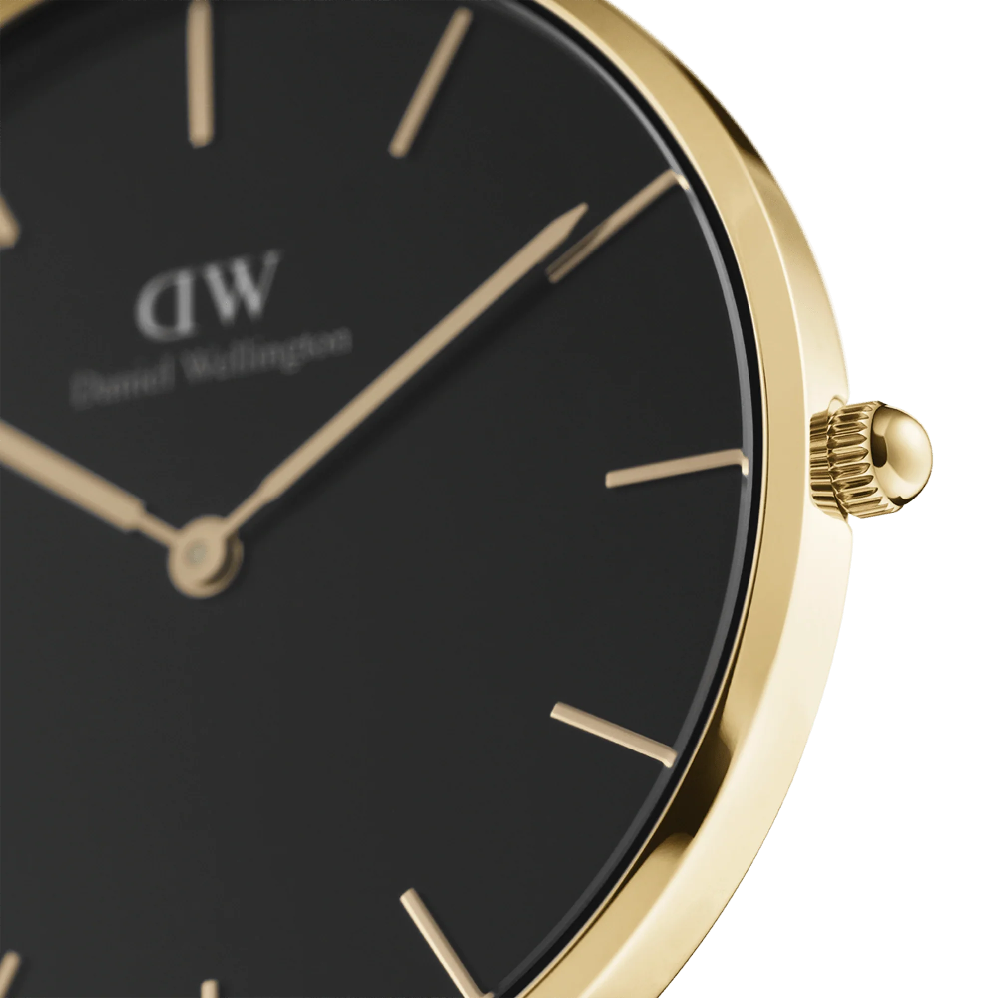 Daniel Wellington Petite Evergold Black Watch